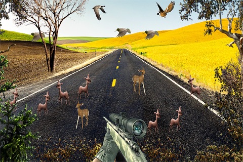 Deer Sniper Hunter 2016 screenshot 4