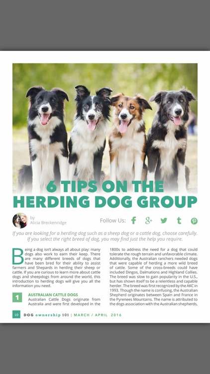 Dog Ownership 101 Magazine screenshot-3