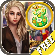 Activities of Free Hidden Objects:Crime Case Numbers