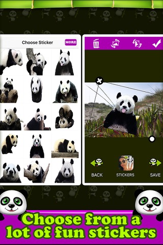 Panda Snap - Awesome Panda Stickers screenshot 3