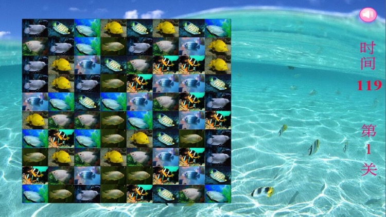 Tropical Fish Puzzle - A fun & addictive puzzle matching game