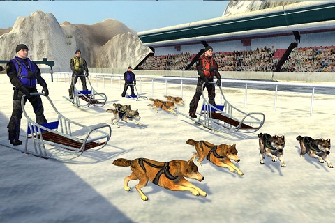 Snow Dog Sledge Simulator 3D screenshot 2