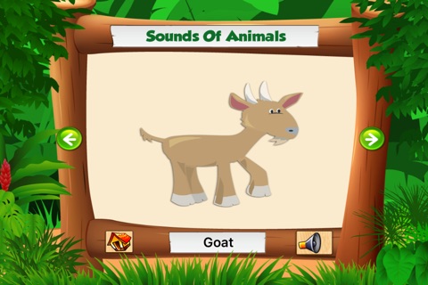Safari Animal World For Kid screenshot 2