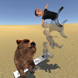 Seesaw Simulator