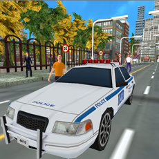 Activities of Police Car Parking Adventure