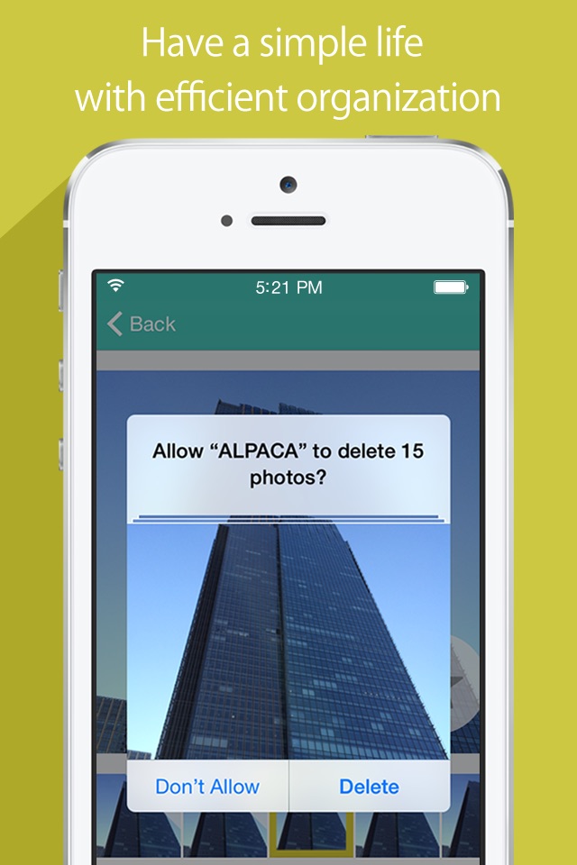 ALPACA - delete photos efficiently, organize camera roll and save memory screenshot 3