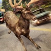 Deer Simulator 2016 | My 3D Deer Animal Game For Free