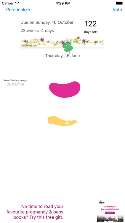 My Pregnancy Ticker