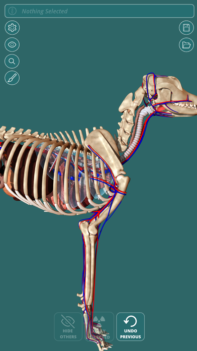 How to cancel & delete Visual Anatomy - Canine from iphone & ipad 2