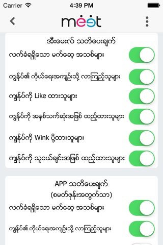 Meet Myanmar screenshot 4