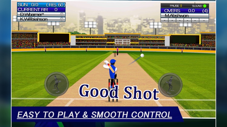 IPL Cricket Craze 3D screenshot-3