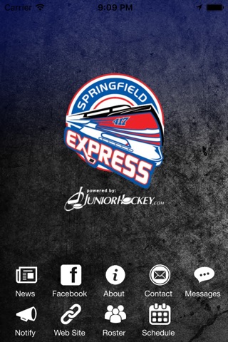 Springfield Express screenshot 2