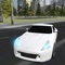 Icon Real Fast Car Driving Simulator
