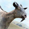Have You Gone Goat? Free Simulator Games with Crazy Goats