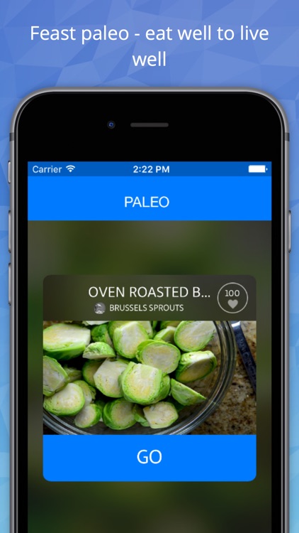paleo gluten free low carb recipes