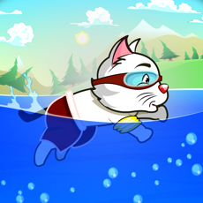 Activities of Swimming Cat