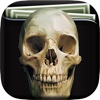 Skull Art Gallery HD – Artworks Wallpapers , Themes and Collection Beautiful Background