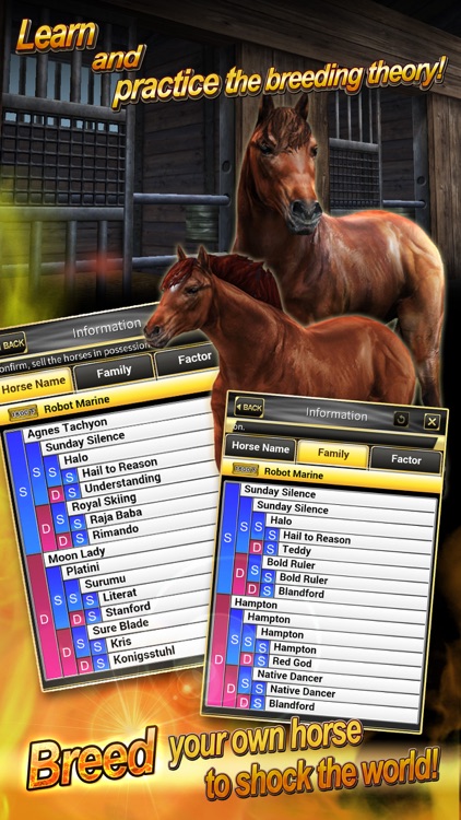 Real Horse Racing (3D)