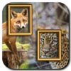 Wild Animal Photo Frames Dual
