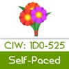 CIW: 1D0-525 - CIW E-Commerce Specialist
