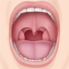 Oral Diseases:Pathology,Dental Hygienist,Health and Periodontics