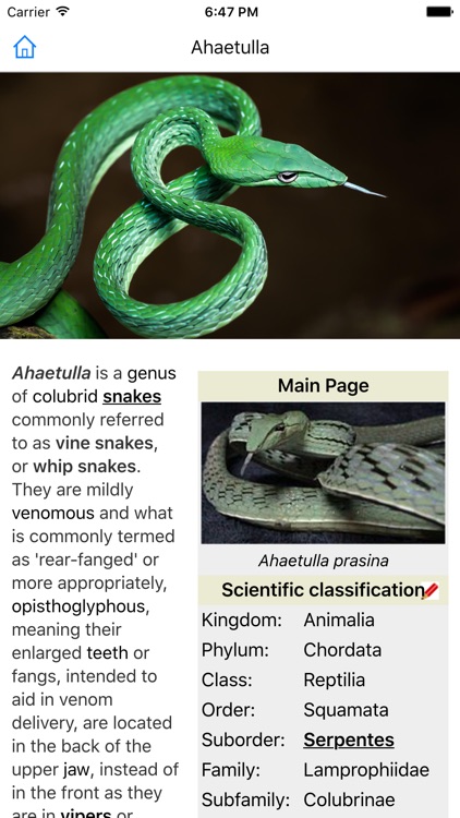 CHI Encyclopedia of Snakes