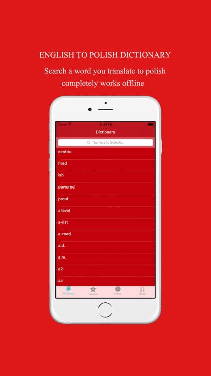 English to Polish Dictionary: Free & Offline