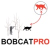 Bobcat Hunting Strategy Bobcat Hunter Plan for PREDATOR HUNTING