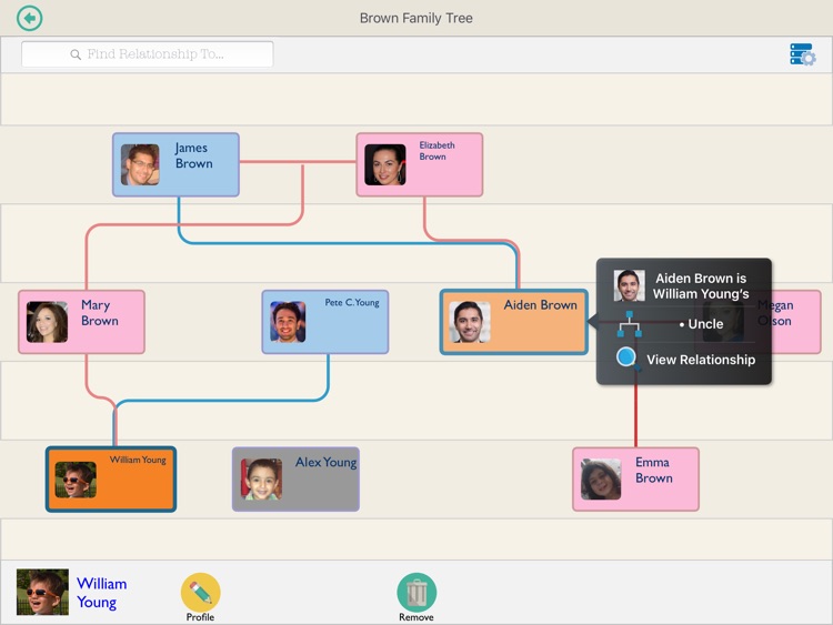 Roots Genealogy Free