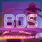 "BOS AIRPORT - Realtime Flight Info - LOGAN INTERNATIONAL AIRPORT (BOSTON)"