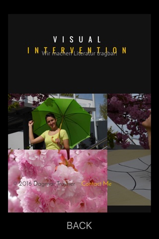 Visual Intervention screenshot 2