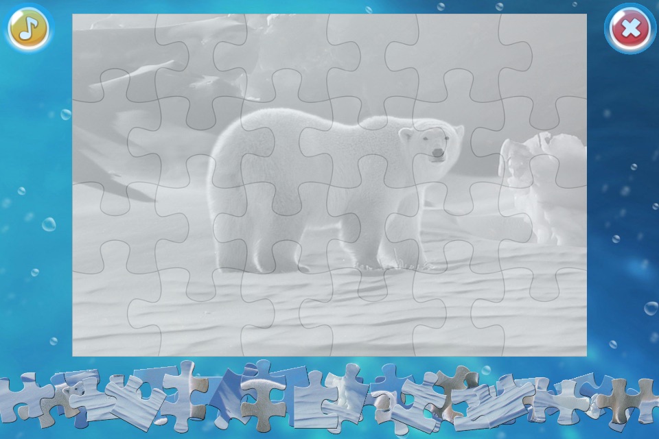 Arctic Animals Puzzle screenshot 3