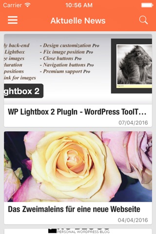 WordPress ToolTipp screenshot 2