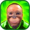 Monkey Face Photo Montage – Funny Animal Face Changer with Crazy Camera Stickers HD Free