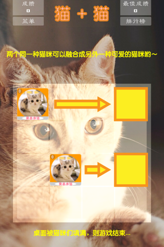 Merged Hex _ Cute cats party and simple type of the 2048 screenshot 2