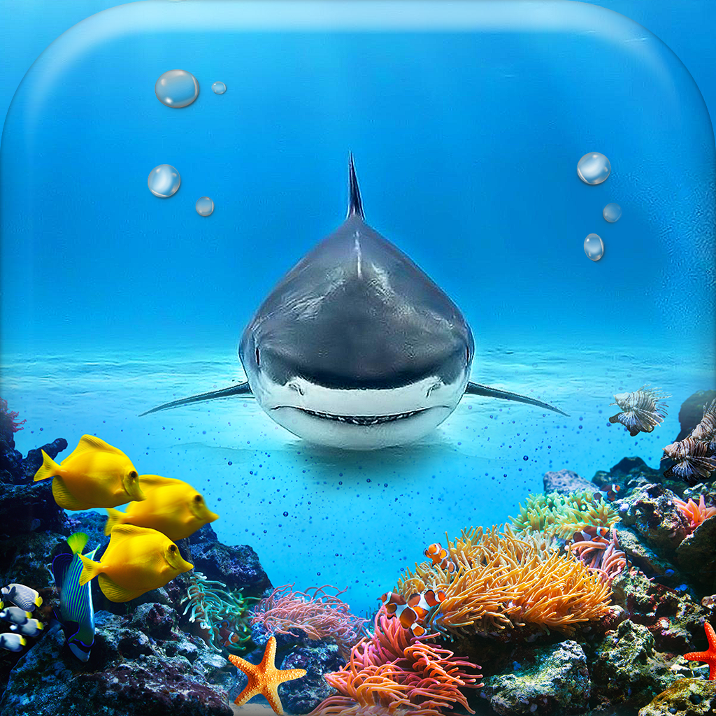 水中 壁紙 ギャラリー 綺麗な 海の動物 背景 水族館 ロック画面 Iphoneアプリ Applion