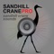 Sandhill Crane Hunting Calls - With Bluetooth - Ad Free