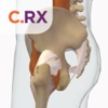 Orthopedics Patient Education by CoherentRx: Engage