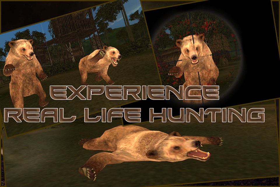 Wild Bear Hunter 2016 : Jungle Beast Hunting Simulation 3d : full fun free game screenshot 2