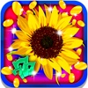 Colorful Slot Machine: Match three well-known types of flowers and win daily prizes