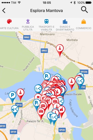 Mantova screenshot 3