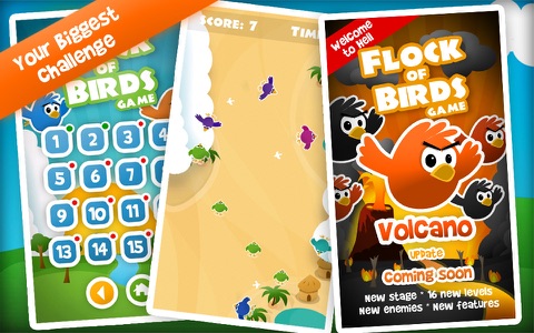 Flock of Birds Game screenshot 3
