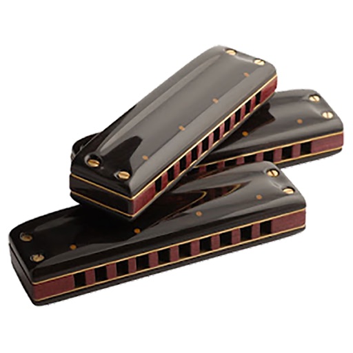 Harmonica Lessons - How To Play Harmonica By Videos icon