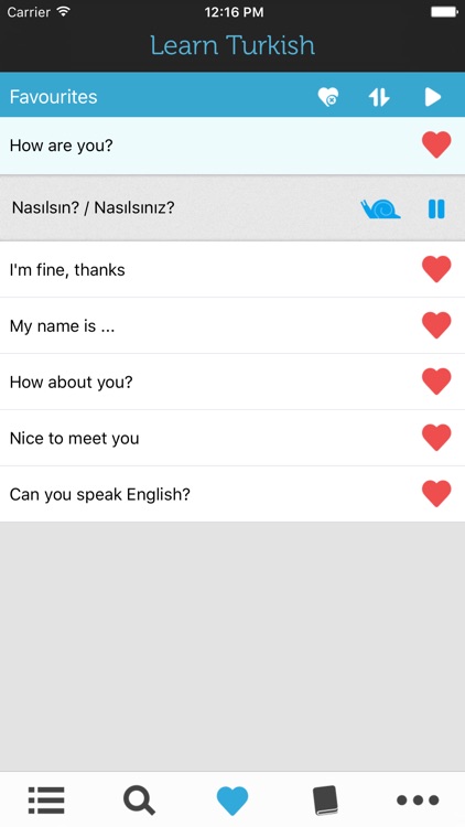 Learn Turkish - Phrasebook for Travel to Turkey screenshot-4