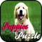 Puppies Jigsaw Puzzle Game