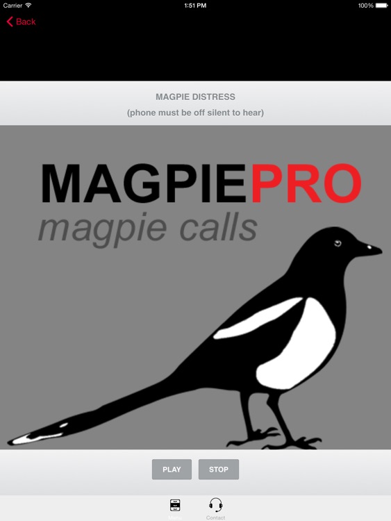 REAL Magpie Hunting Calls - REAL Magpie CALLS and Magpie Sounds! screenshot-0