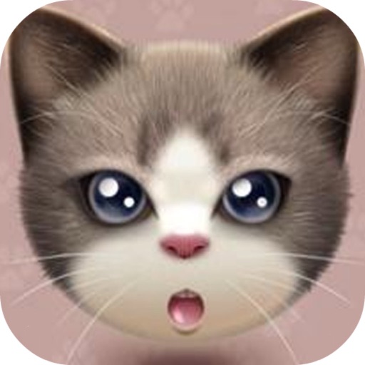 Groom That Kitty——Magic Resort/Pets Makeup iOS App