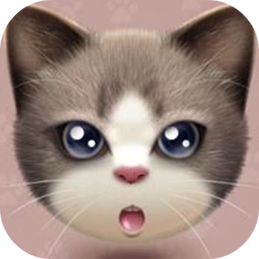 Groom That Kitty——Magic Resort/Pets Makeup icon