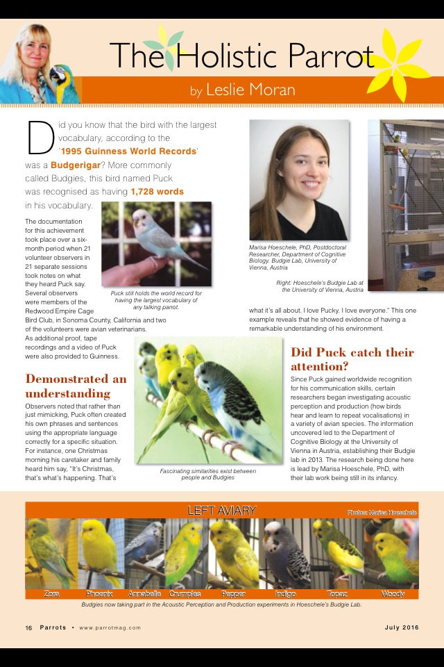 Parrots magazine screenshot 4