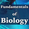 Fundamentals of Biology: 2000 Terms, Concepts & Practical Quizzes